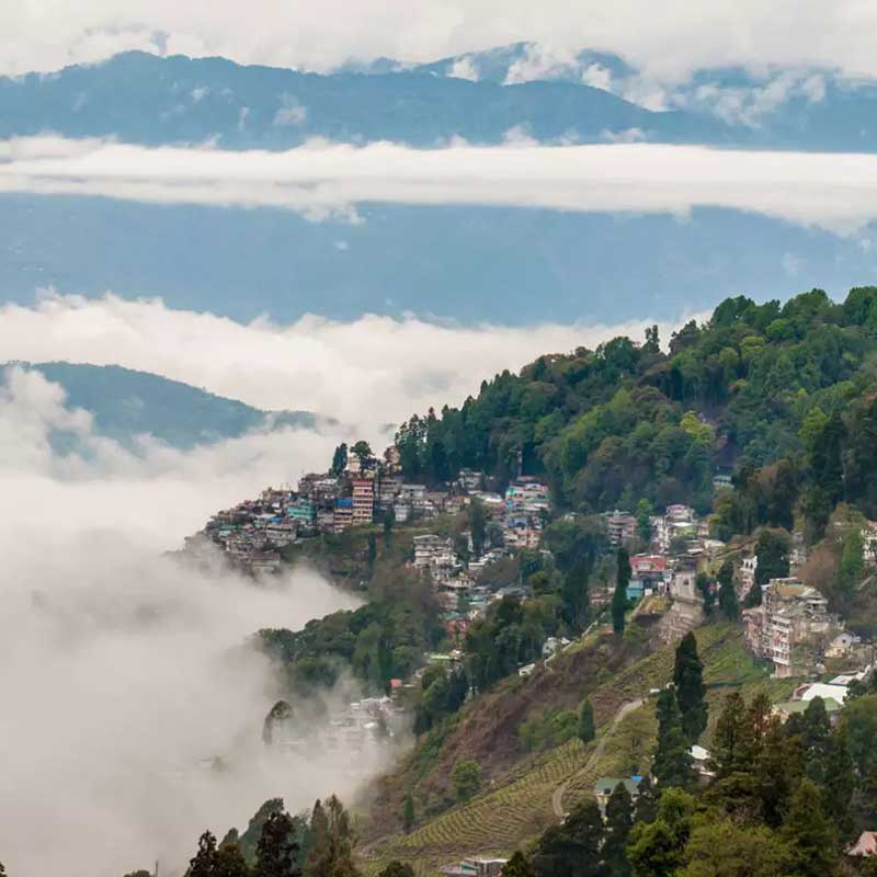 Beautiful North East